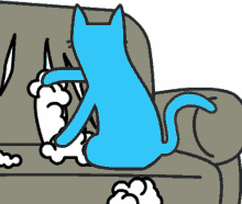 cat crazy blue cat nuts sofa scratch