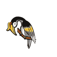 Swag Bird Sabah GIF - Swag Bird Sabah Burung Hornbill GIFs