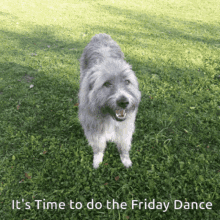 Friday Dance Kratu GIF - Friday Dance Friday Kratu GIFs