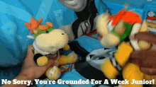 no bowser
