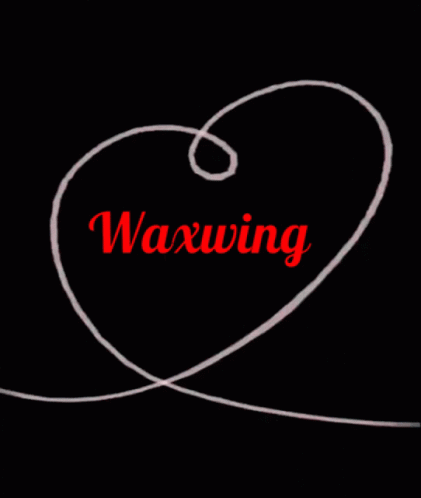 Love Name GIF - Love Name Waxwing GIFs