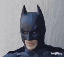 Batman Gatto GIF - Batman Gatto Transform GIFs