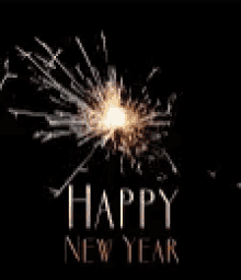Happy New Year Fireworks Animation GIFs | Tenor