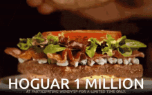 hogar hogey sonar hamburger hogar hogey sonar hamburger