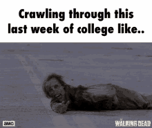 Zombie Crawling GIF - Zombie Crawling College Life GIFs