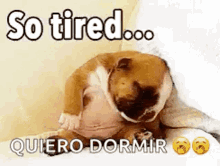 so tired sleepy bed night onnato so tired sleepy bed night onnato