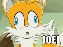Joel Tails GIF - Joel Tails Double Tails GIFs