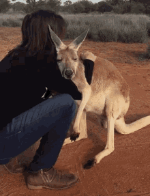 kangaroo hug