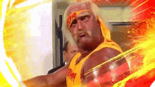 World Wrestling Entertainment Wwe GIF - World Wrestling Entertainment Wwe Hulk Hogan GIFs
