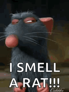 Ratatouille Remy GIF - Ratatouille Remy I Smell A Rat GIFs