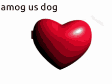 Amog Us Dog GIF - Amog Us Dog GIFs