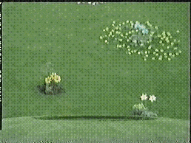 po-goodbye.gif