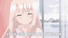 cat cats cats love anime anime girl cat cats cats love anime anime girl