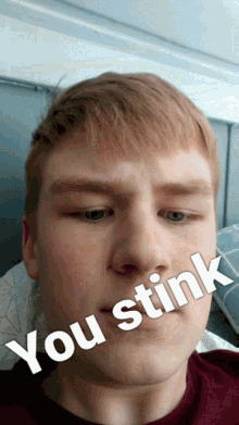 You Stink Disgusting GIF - You Stink Disgusting Dirty GIFs