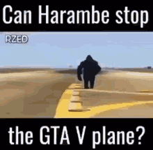 can haramba stop the gta v plane harambe airplane gorilla