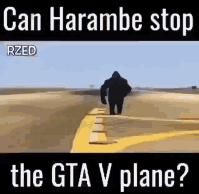 Can Haramba Stop The Gta V Plane Harambe GIF - Can Haramba Stop The Gta V Plane Harambe Airplane GIFs