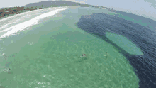 Oil Slick...Or Not? GIF - GIFs