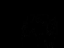 etihw okegom