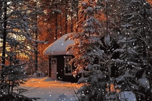 Snow Winter GIF - Snow Winter - Discover &amp; Share GIFs