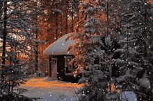 snow winter snow winter
