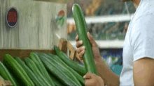 Zucchini GIF - Zucchini Sexual Large Zucchini GIFs
