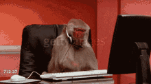 Bonobo Gamer GIF - Bonobo Gamer Monkey GIFs