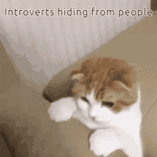 Introvert Cat GIF - Introvert Cat GIFs