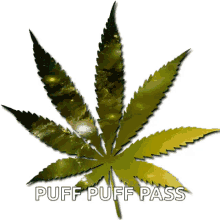 Marijuana Weed GIF - Marijuana Weed Psychedelic GIFs