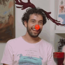 reindeer natal