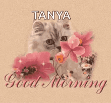 Good Morning Flower GIF - Good Morning Flower Cat GIFs
