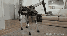 robotardog dog