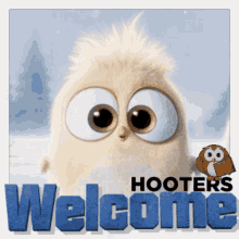 Hooters Battle Camp GIF - Hooters Battle Camp Welcome GIFs