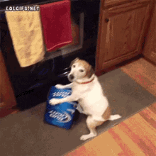 Bud Light Dog GIF - Bud Light Dog Dont Touch My Beer GIFs