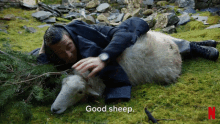 Good Sheep Youvs Wild GIF - Good Sheep Youvs Wild Netflix Family GIFs