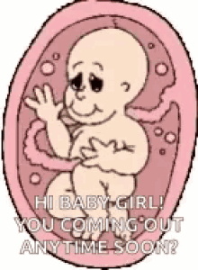 Baby Womb GIF - Baby Womb Hi GIFs