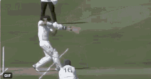 ravindra jadeja jadeja ravi jadeja cricket ravindra jadeja jadeja ravi jadeja cricket