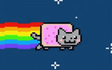 rainbow cat rainbow cat running