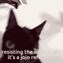 Jojo Reference Cat GIF - Jojo Reference Cat Resisting GIFs