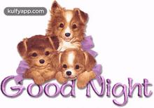 Good Night From Puppies.Gif GIF - Good Night From Puppies Good Night Wishes Good Night Greetings GIFs