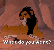 what do you want scar ugh the lion king eyeroll