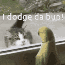 bup avoidance dodge the boop ollie bup
