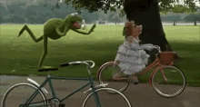 Muppets GIF - The Muppets Kermit The Frog Miss Piggy GIFs