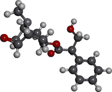 market scopolamine