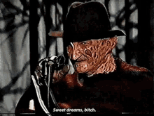 Freddy Kruger Elm Street GIF - Freddy Kruger Elm Street Bitch GIFs