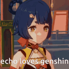 Echo Genshin Impact GIF - Echo Genshin Impact Echo Loves Genshin GIFs