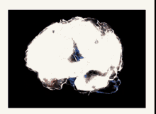 brillante genio smart genius inteligente brillante genio smart genius inteligente