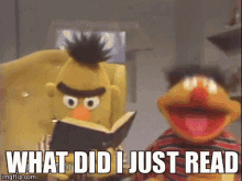 What Did I Just Read Bert GIF - What Did I Just Read Read Bert GIFs