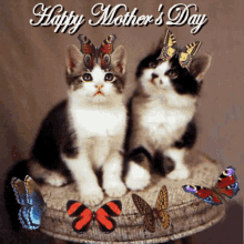 Happy Mothers Day Mums Day GIF - Happy Mothers Day Mums Day Moms Day GIFs