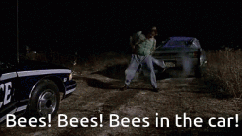 [Image: bees-tommy-boy.gif]