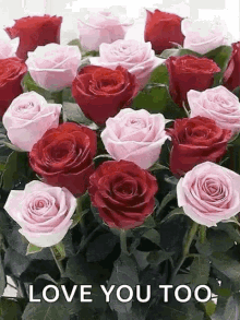roses flowers plant i love you love